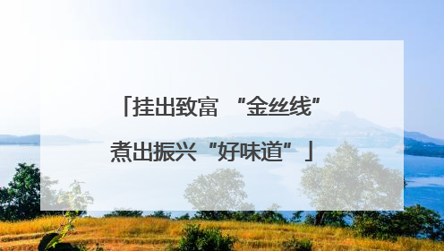挂出致富 “金丝线” 煮出振兴“好味道”