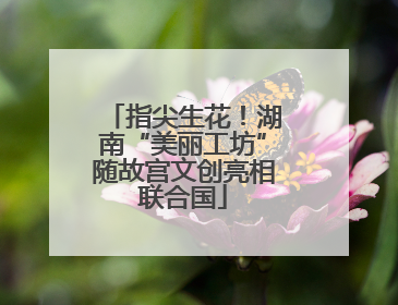 指尖生花！湖南“美丽工坊”随故宫文创亮相联合国