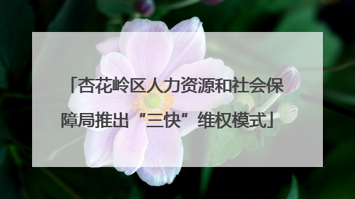 杏花岭区人力资源和社会保障局推出“三快”维权模式
