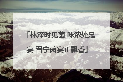 林深时见菌 味浓处是宴 晋宁菌宴正飘香