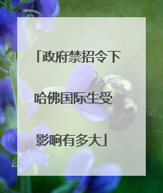 政府禁招令下 哈佛国际生受影响有多大