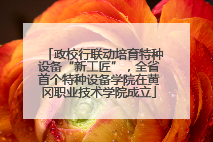 政校行联动培育特种设备“新工匠”，全省首个特种设备学院在黄冈职业技术学院成立