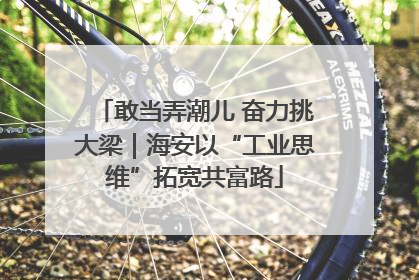 敢当弄潮儿 奋力挑大梁｜海安以“工业思维”拓宽共富路