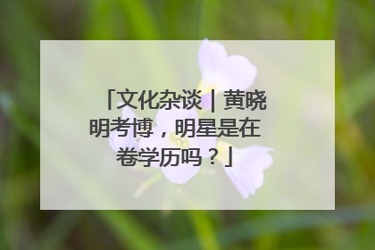 文化杂谈｜黄晓明考博，明星是在卷学历吗？