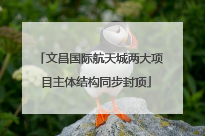 文昌国际航天城两大项目主体结构同步封顶
