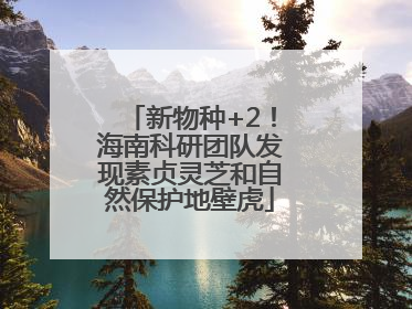 新物种+2！海南科研团队发现素贞灵芝和自然保护地壁虎