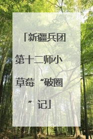 新疆兵团第十二师小草莓“破圈”记