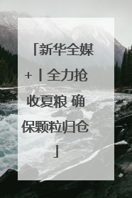 新华全媒+丨全力抢收夏粮 确保颗粒归仓