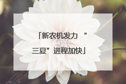 新农机发力 “三夏”进程加快