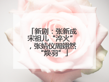 新剧：张新成宋祖儿“淬火”，张婧仪周翊然“焕羽”