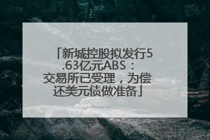 新城控股拟发行5.63亿元ABS：交易所已受理，为偿还美元债做准备