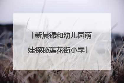 新晨锦和幼儿园萌娃探秘莲花街小学