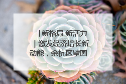 新格局 新活力｜激发经济增长新动能，余杭区擘画消费市场新布局