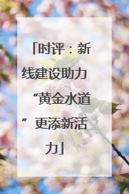 时评：新线建设助力“黄金水道”更添新活力