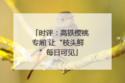 时评：高铁樱桃专厢 让“枝头鲜”每日可见