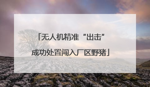 无人机精准“出击” 成功处置闯入厂区野猪
