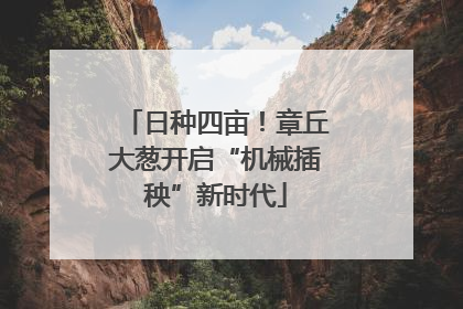 日种四亩！章丘大葱开启“机械插秧”新时代