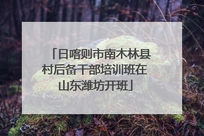 日喀则市南木林县村后备干部培训班在山东潍坊开班