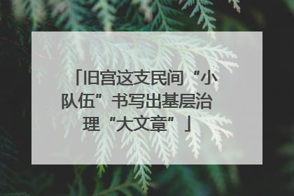 旧宫这支民间“小队伍”书写出基层治理“大文章”