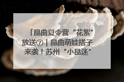 昆曲夏令营“花絮”放送⑦｜昆曲萌娃搭子来袭！苏州“小昆迷”姐弟期待同台演绎“姑苏水磨调”
