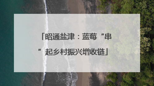昭通盐津：蓝莓“串”起乡村振兴增收链