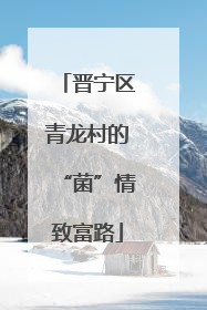 晋宁区青龙村的“菌”情致富路