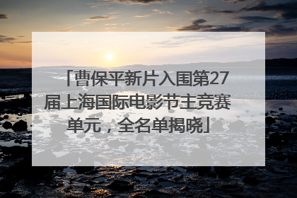 曹保平新片入围第27届上海国际电影节主竞赛单元，全名单揭晓