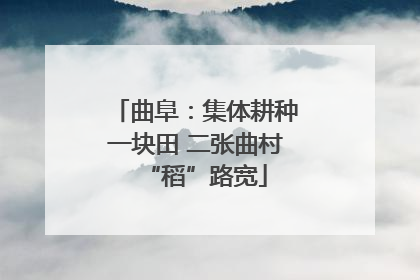 曲阜：集体耕种一块田 二张曲村“稻”路宽
