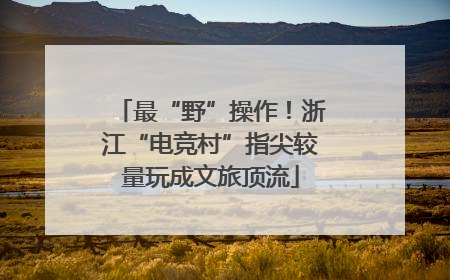最“野”操作！浙江“电竞村”指尖较量玩成文旅顶流
