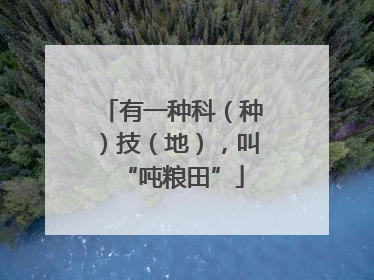 有一种科（种）技（地），叫“吨粮田”