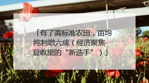 有了高标准农田，亩均纯利增六成（经济聚焦·夏收里的“新选手”）