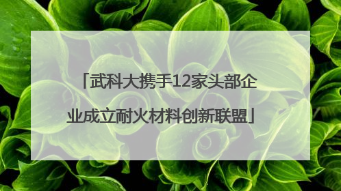 武科大携手12家头部企业成立耐火材料创新联盟