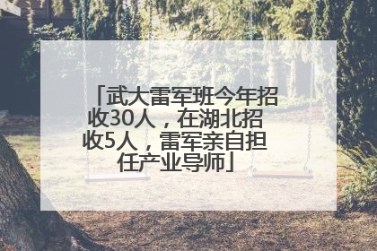 武大雷军班今年招收30人，在湖北招收5人，雷军亲自担任产业导师