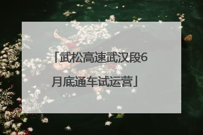 武松高速武汉段6月底通车试运营