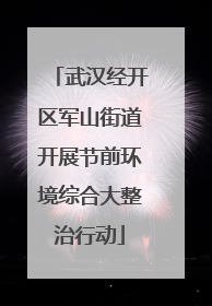 武汉经开区军山街道开展节前环境综合大整治行动