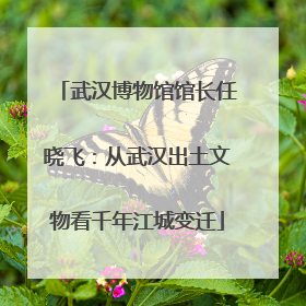 武汉博物馆馆长任晓飞：从武汉出土文物看千年江城变迁