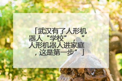 武汉有了人形机器人“学校”，“人形机器人进家庭，这是第一步”