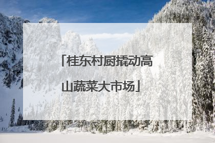 桂东村厨撬动高山蔬菜大市场