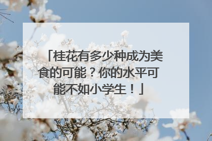 桂花有多少种成为美食的可能？你的水平可能不如小学生！
