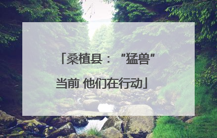 桑植县：“猛兽”当前 他们在行动