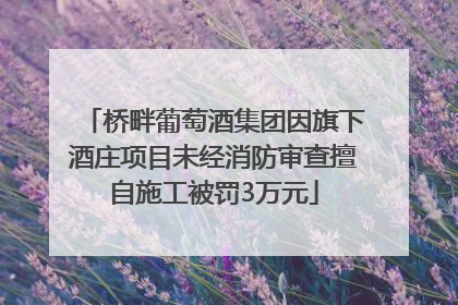 桥畔葡萄酒集团因旗下酒庄项目未经消防审查擅自施工被罚3万元