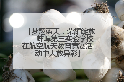 梦翔蓝天，荣耀绽放——蚌埠第三实验学校在航空航天教育竞赛活动中大放异彩