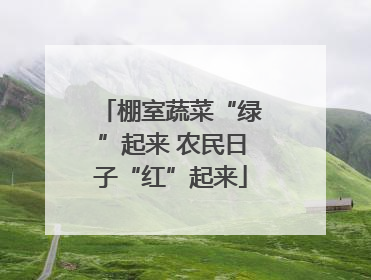 棚室蔬菜“绿”起来 农民日子“红”起来