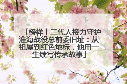 榜样丨三代人接力守护淮海战役总前委旧址：从祖屋到红色地标，他用一生续写传承故事