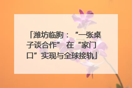 潍坊临朐：“一张桌子谈合作” 在“家门口”实现与全球接轨