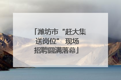 潍坊市“赶大集 送岗位” 现场招聘圆满落幕