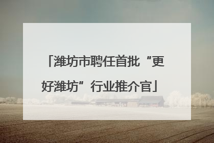潍坊市聘任首批“更好潍坊”行业推介官