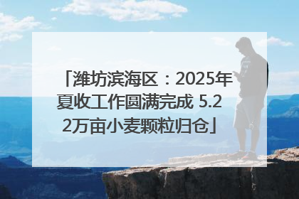 潍坊滨海区：2025年夏收工作圆满完成 5.22万亩小麦颗粒归仓