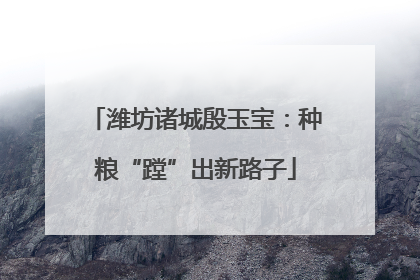 潍坊诸城殷玉宝：种粮“蹚”出新路子