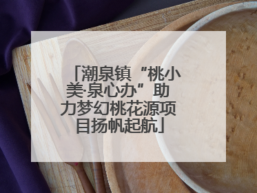 潮泉镇“桃小美·泉心办”助力梦幻桃花源项目扬帆起航